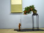 柿盆栽-persimmon-bonsai-tree-004.JPG