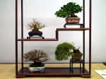 棚飾り盆栽-Tanakazari-bonsai-trees-017.JPG